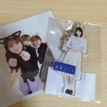 엔도 사쿠라 노기자카46 개별 전신 아크릴 키링 [ 미개봉 ]