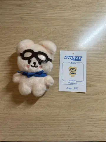 StrayKids 승민 PuppyM 퍼핌 파이롯트 봉제 인형