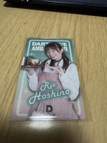 DARTSLIVE AMBASSADOR 호시노 리에 카드