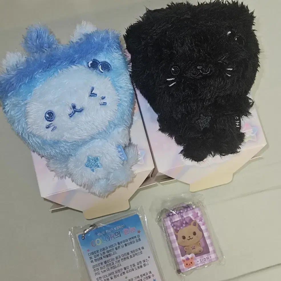 ユウシ NCT WISH COLOR DOLL バブルニャン BLUE 青 NCT WISH WISH DOLL ユウシ ぬいぐるみ バブルニャン NCT WISH