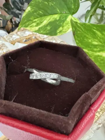 블루 다이아 PT 반지