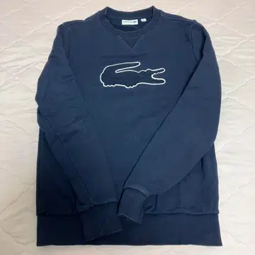 LACOSTE 트레이닝복 S 사이즈 빅 와니