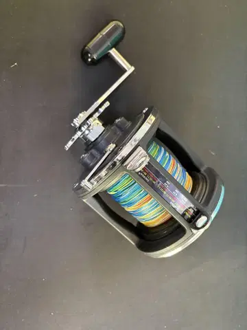 Daiwa Sealine 600H 낚시릴