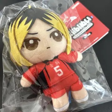 [하이큐!!] Chibi 누이 오스와리 마스코트 코즈메 켄마