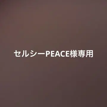 숄더백