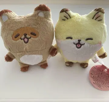 라운드원 한정판 콤부와 폰즈 마스코트 콤폰 너구리 여우
