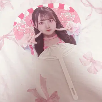 논픽션! 코르네 부채 실사