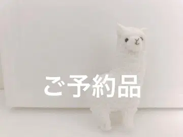 예약 상품