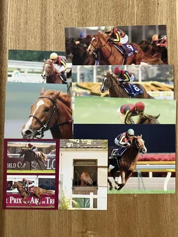 118 오르페브르 엽서 사츠키상 더비 킷카상 아리마 기념