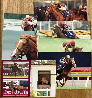 118 오르페브르 엽서 사츠키상 더비 킷카상 아리마 기념