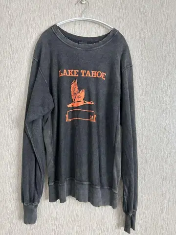 Champion Lake Tahoe XL 트레이닝복