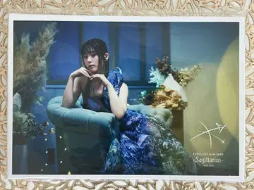 Kalafina KEIKO 캔버스 아트 새상품 미개봉 새상품급