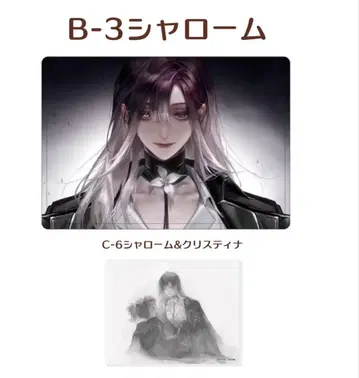 B상 C상 샤로움