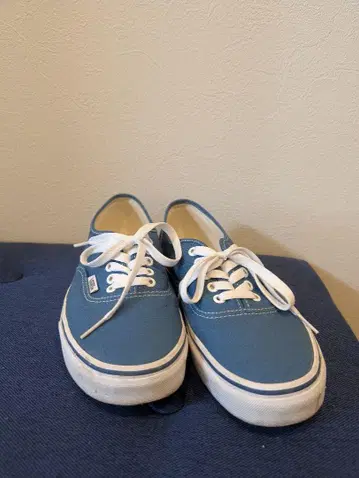 새상품급*VANS 오센틱