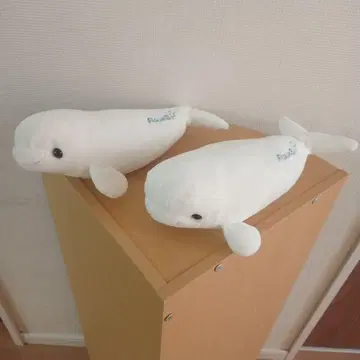 AquaS 흰돌고래 봉제 인형 2개
