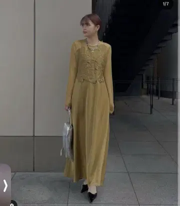 아메리(AMERI) UPPER EMBROIDERY FLARE DRESS