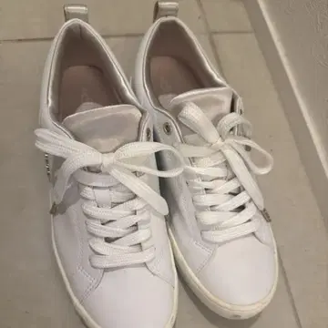 플러스 다이애나 스니커즈 24.0cm
