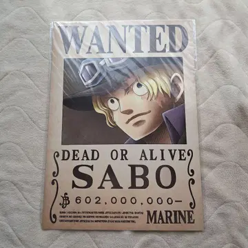 미사용 새상품 해군 발행 공식 수배서 원피스 사보