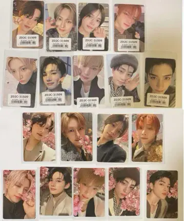 &TEAM 설명달 컴프 18장 세트
