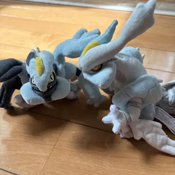 블랙큐레무 화이트큐레무 포켓몬 fit 봉제 인형
