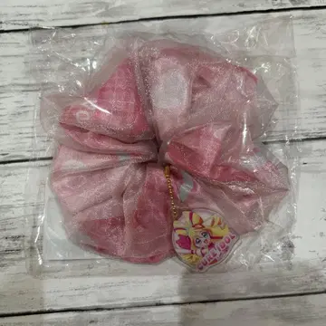 너와 아이돌 프리큐어 드림 스테이지 참 달린 스크런치 큐어 아이돌