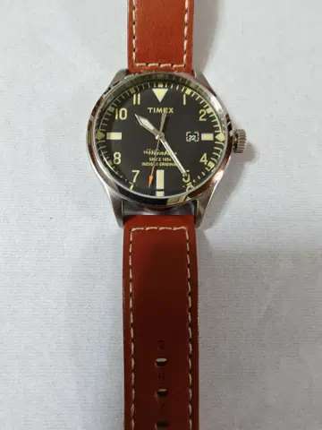 TIMEX redwing 콜라보 워터베리