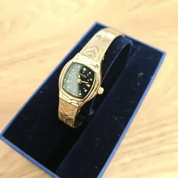 Citizen 골드 메쉬 손목시계