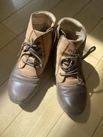 REGAL Walker 24cm EEE