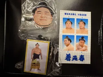 와카모토 하루
