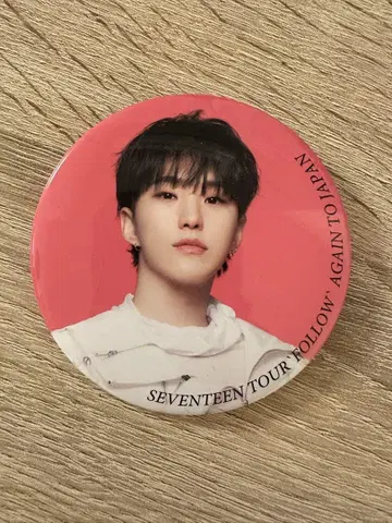 SEVENTEEN 캔뱃지 호시