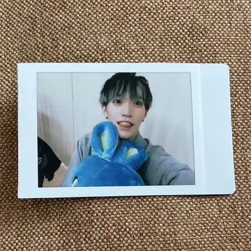 팬더 드래곤 타이거 폴라로이드 35