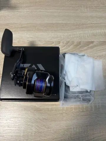 25 솔티가300L