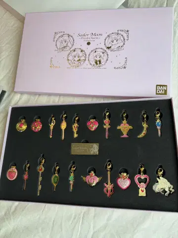 세일러문 핀즈&참