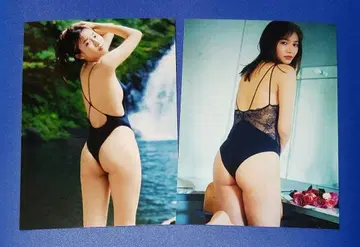 시다논 L판 사진 사이즈 2장 2