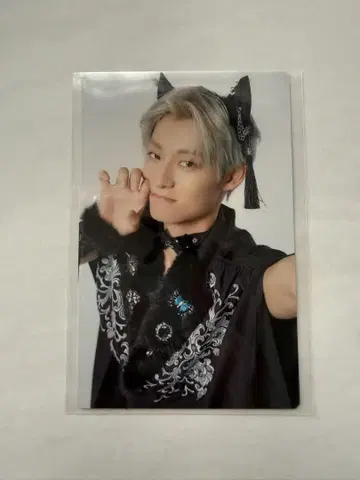 초특급 NINE LIVES 완전 생산 한정판 봉입 혜택 알로하