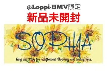 SOPHIA 타월 한정품