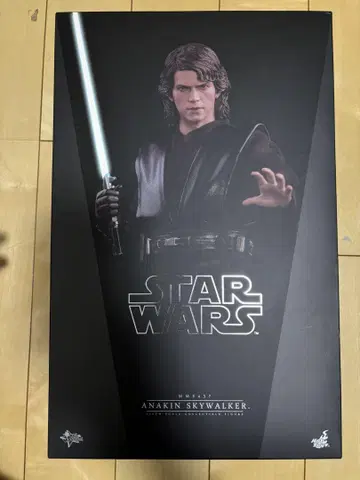 핫토이즈 아나킨 스카이워커 피규어 hottoys