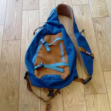 patagonia Atom 8L 바디백