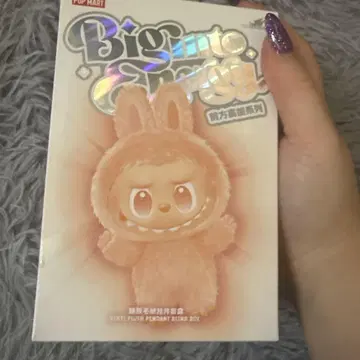 POP MART THE MONSTERS 봉제 인형