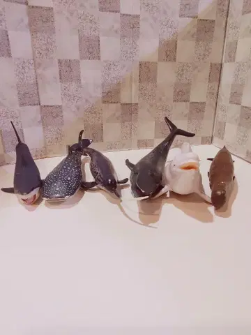 해양 생물 피규어 6개 세트