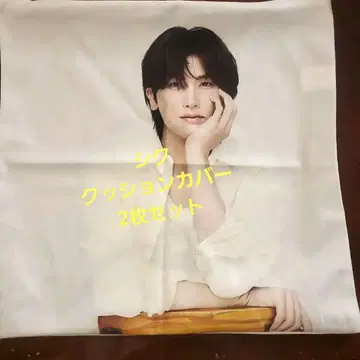 박형식 쿠션 커버 2개