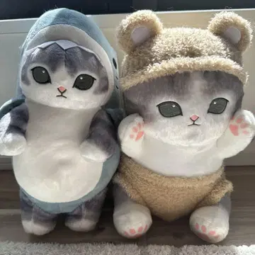 모프 샌드 mofusand 곰 팬티 냥 팬티! 상어냥 세트