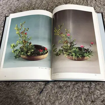오하라류 스타일 집성