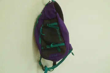 Patagonia Atom 8L