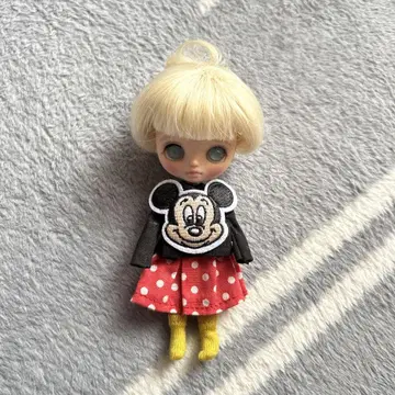 미니 브라이스 커스텀