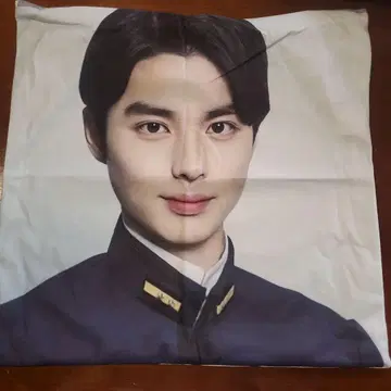 혼다 히비키야 쿠션 커버