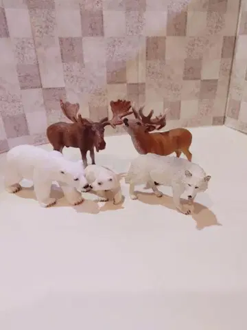 북극 동물 피규어 세트 5체