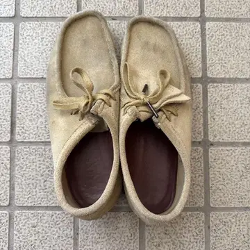 Clarks 메이플