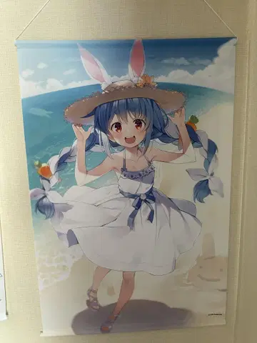 우사다 페코라 2021 기념 굿즈 태피스트리