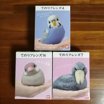 테노리 프렌즈 시나몬 모란앵무 잉꼬 슈빌 야생 조류 작은 새 소프트 비닐